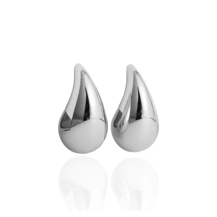 Waterdrop Earrings / Silver